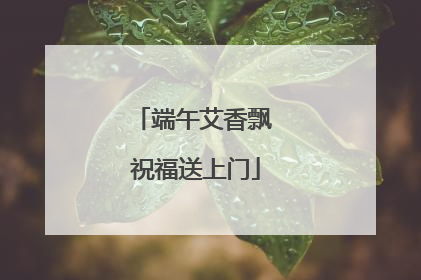 端午艾香飘 祝福送上门