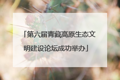 第六届青藏高原生态文明建设论坛成功举办
