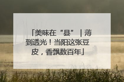 美味在“县”｜薄到透光！当阳这张豆皮，香飘数百年