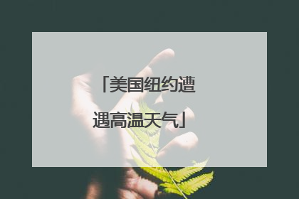 美国纽约遭遇高温天气