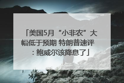 美国5月“小非农”大幅低于预期 特朗普速评：鲍威尔该降息了