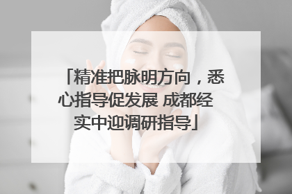 精准把脉明方向，悉心指导促发展 成都经实中迎调研指导