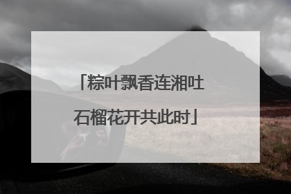 粽叶飘香连湘吐 石榴花开共此时