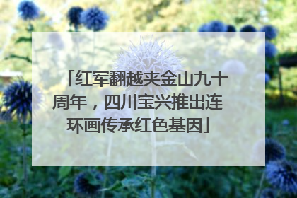 红军翻越夹金山九十周年，四川宝兴推出连环画传承红色基因