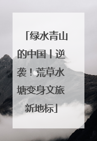绿水青山的中国丨逆袭！荒草水塘变身文旅新地标
