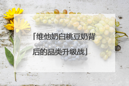 维他奶白桃豆奶背后的品类升级战