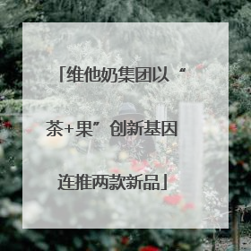 维他奶集团以“茶+果”创新基因连推两款新品