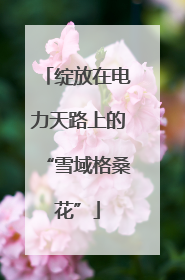 绽放在电力天路上的“雪域格桑花”