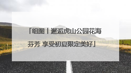组图丨邂逅虎山公园花海芬芳 享受初夏限定美好
