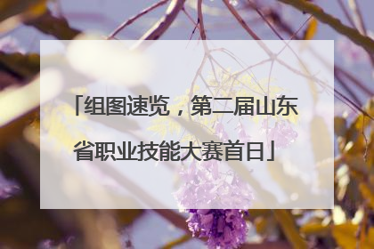 组图速览，第二届山东省职业技能大赛首日