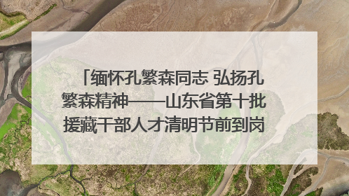 缅怀孔繁森同志 弘扬孔繁森精神——山东省第十批援藏干部人才清明节前到岗巴县开展党性教育