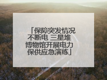 保障突发情况不断电 三星堆博物馆开展电力保供应急演练