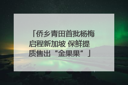 侨乡青田首批杨梅启程新加坡 保鲜提质售出“金果果”
