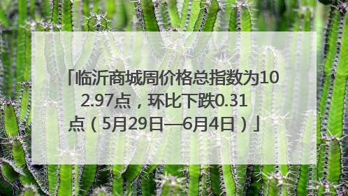 临沂商城周价格总指数为102.97点，环比下跌0.31点（5月29日—6月4日）