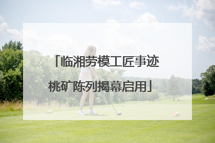 临湘劳模工匠事迹桃矿陈列揭幕启用