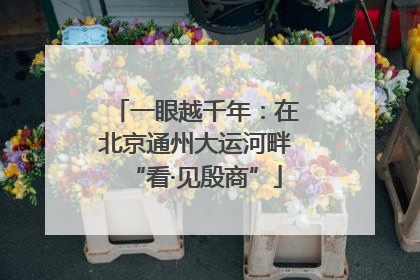 一眼越千年：在北京通州大运河畔“看·见殷商”