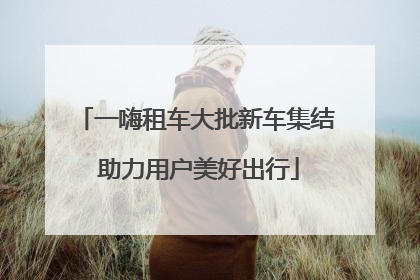一嗨租车大批新车集结 助力用户美好出行