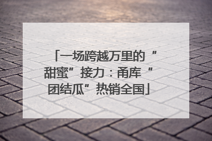 一场跨越万里的“甜蜜”接力：甬库“团结瓜”热销全国