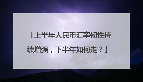 上半年人民币汇率韧性持续增强，下半年如何走？