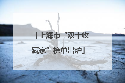 上海市“双十收藏家”榜单出炉