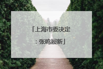 上海市委决定：张鸣履新