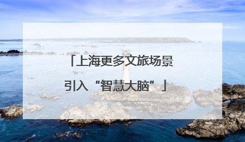 上海更多文旅场景引入“智慧大脑”