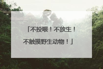 不投喂！不放生！不触摸野生动物！