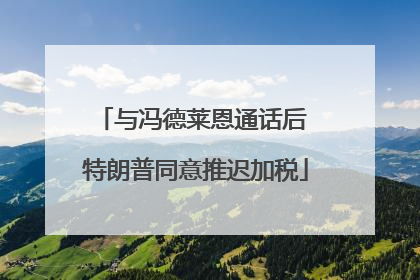 与冯德莱恩通话后 特朗普同意推迟加税