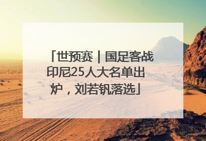 世预赛｜国足客战印尼25人大名单出炉，刘若钒落选