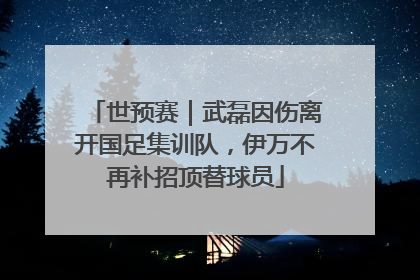 世预赛｜武磊因伤离开国足集训队，伊万不再补招顶替球员