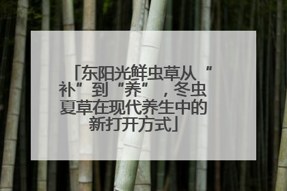 东阳光鲜虫草从“补”到“养”，冬虫夏草在现代养生中的新打开方式