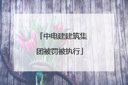 中电建建筑集团被罚被执行