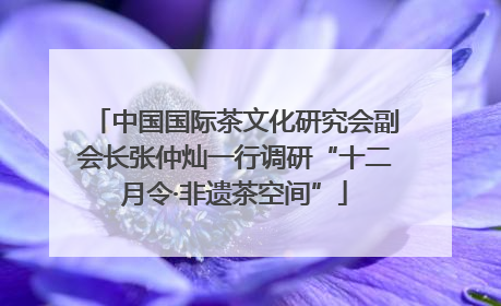 中国国际茶文化研究会副会长张仲灿一行调研“十二月令·非遗茶空间”