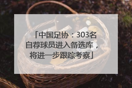 中国足协：303名自荐球员进入备选库，将进一步跟踪考察
