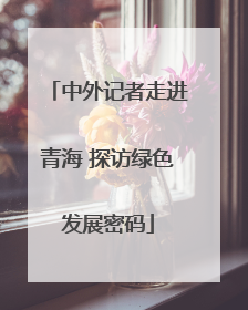 中外记者走进青海 探访绿色发展密码