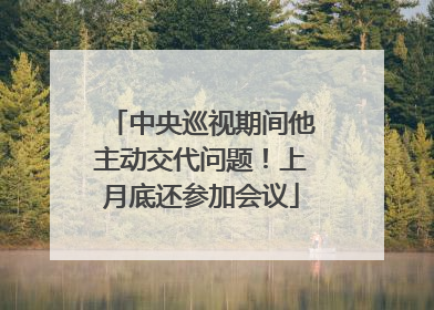 中央巡视期间他主动交代问题！上月底还参加会议