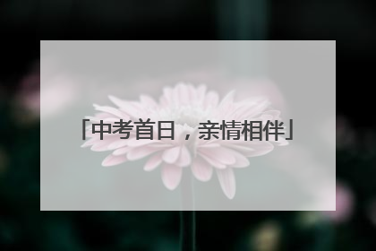 中考首日，亲情相伴