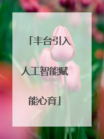 丰台引入人工智能赋能心育