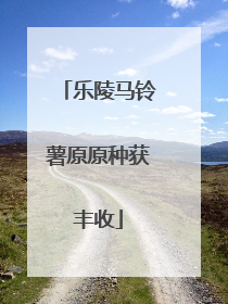 乐陵马铃薯原原种获丰收