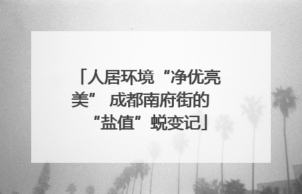 人居环境“净优亮美” 成都南府街的“盐值”蜕变记