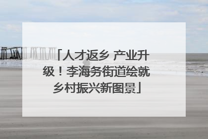 人才返乡 产业升级！李海务街道绘就乡村振兴新图景