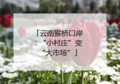 云南猴桥口岸：“小村庄”变“大市场”