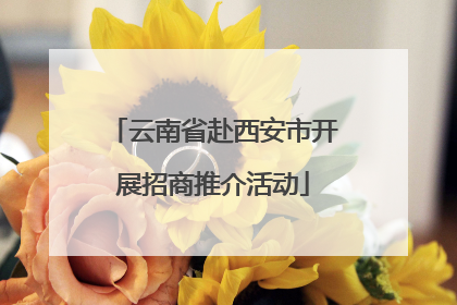 云南省赴西安市开展招商推介活动