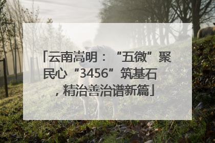 云南嵩明：“五微”聚民心“3456”筑基石，精治善治谱新篇