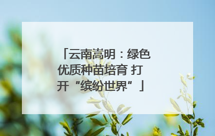 云南嵩明：绿色优质种苗培育 打开“缤纷世界”
