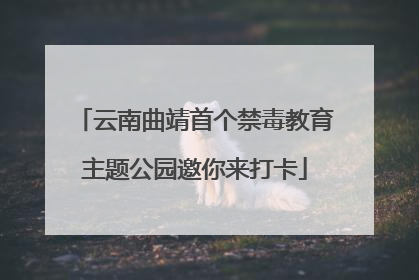 云南曲靖首个禁毒教育主题公园邀你来打卡