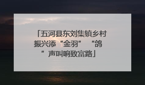 五河县东刘集镇乡村振兴添“金羽” “鸽”声叫响致富路
