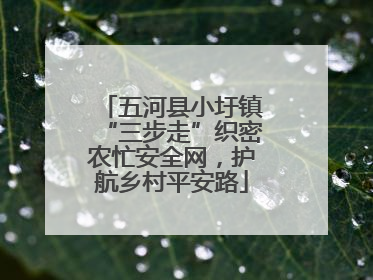 五河县小圩镇“三步走”织密农忙安全网，护航乡村平安路