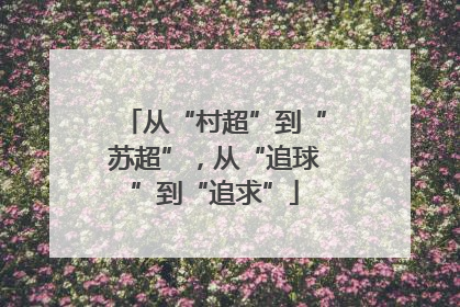 从“村超”到“苏超”，从“追球”到“追求”