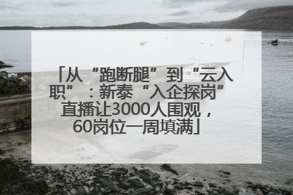 从“跑断腿”到“云入职”：新泰“入企探岗”直播让3000人围观，60岗位一周填满